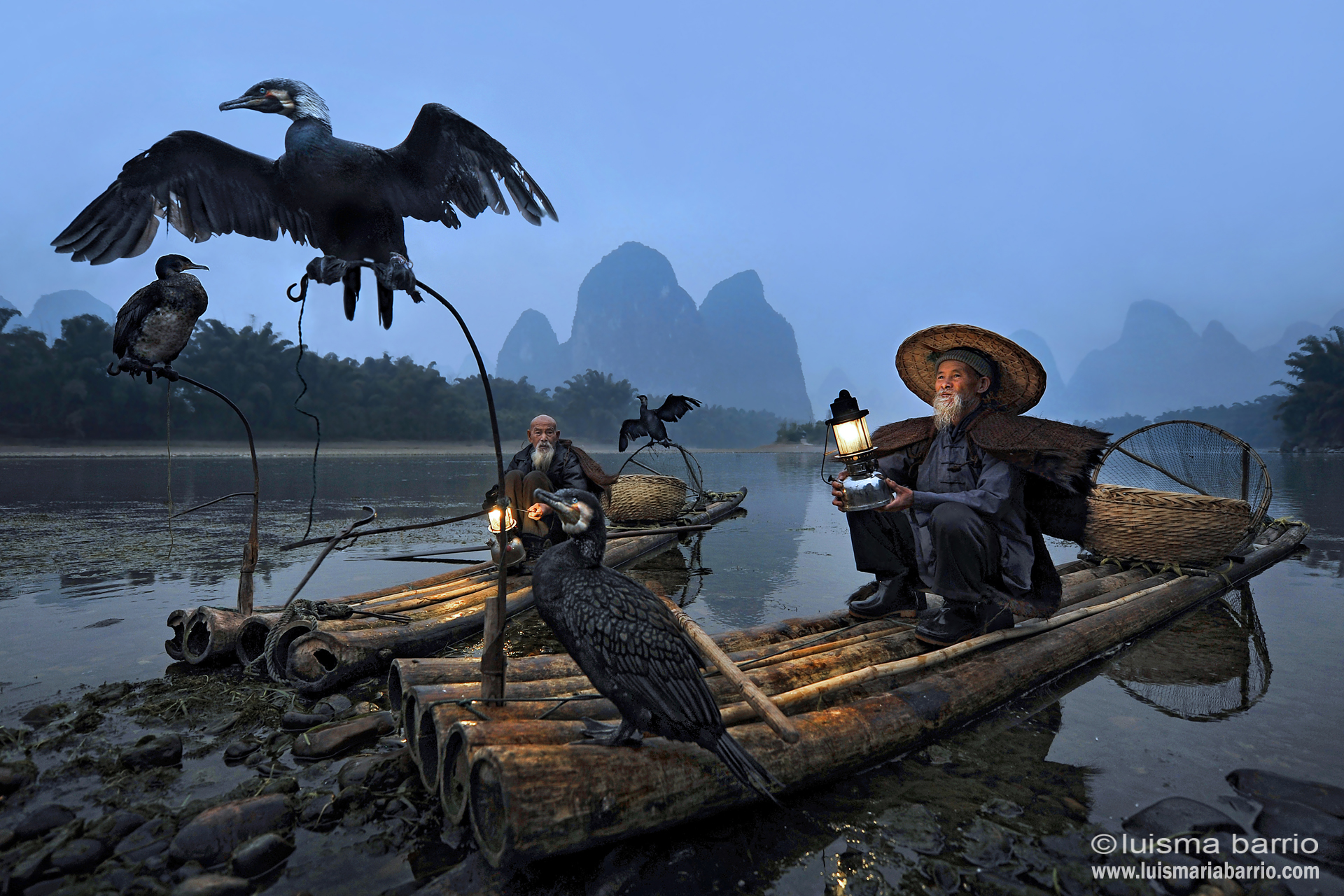 pescadores chinos con cormorán - ukai